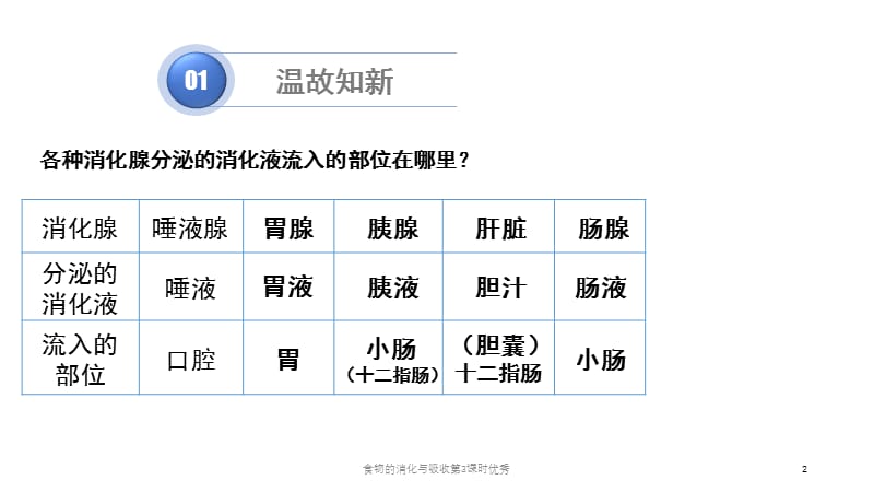 食物的消化与吸收第3课时优秀课件.pptx_第2页