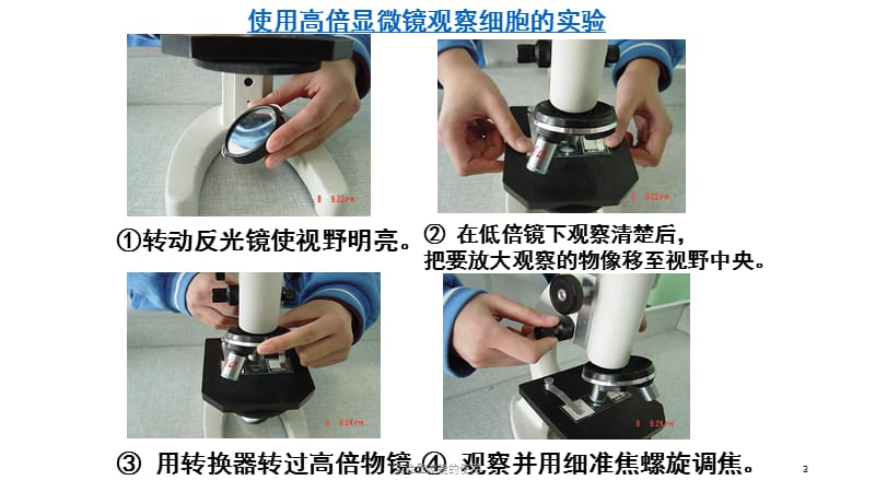 实验显微镜的使用课件.pptx_第3页