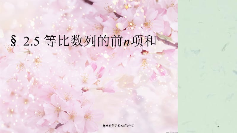 等比数列的前n项和公式课件.ppt_第1页