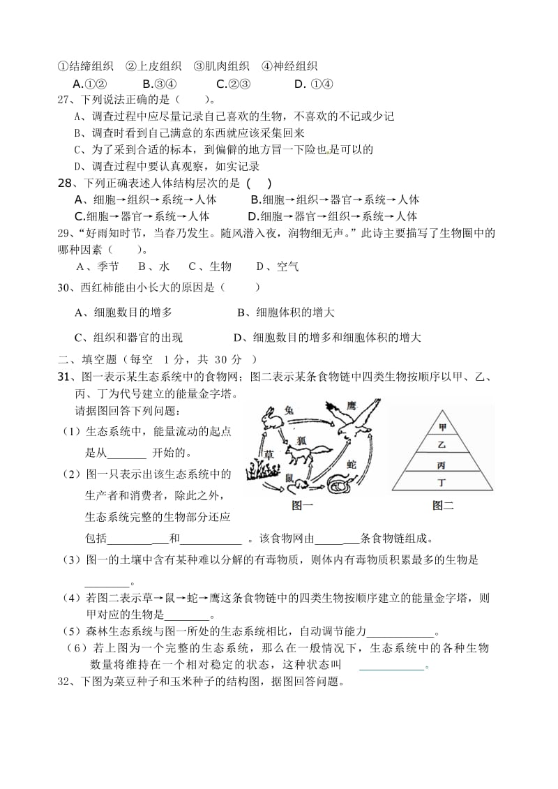 第二次月考七年级生物试题.doc_第3页