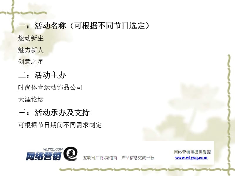 网站营销活动策划方案.ppt_第2页