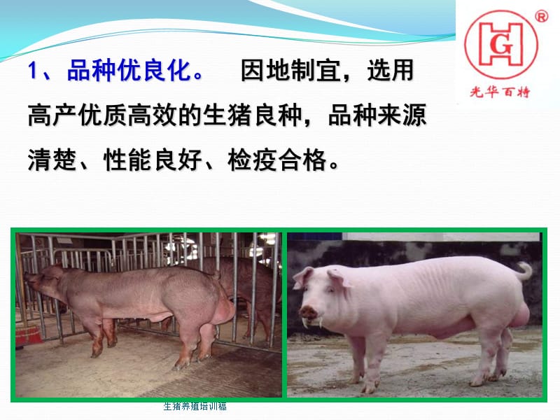 生猪养殖培训稿课件.ppt_第2页