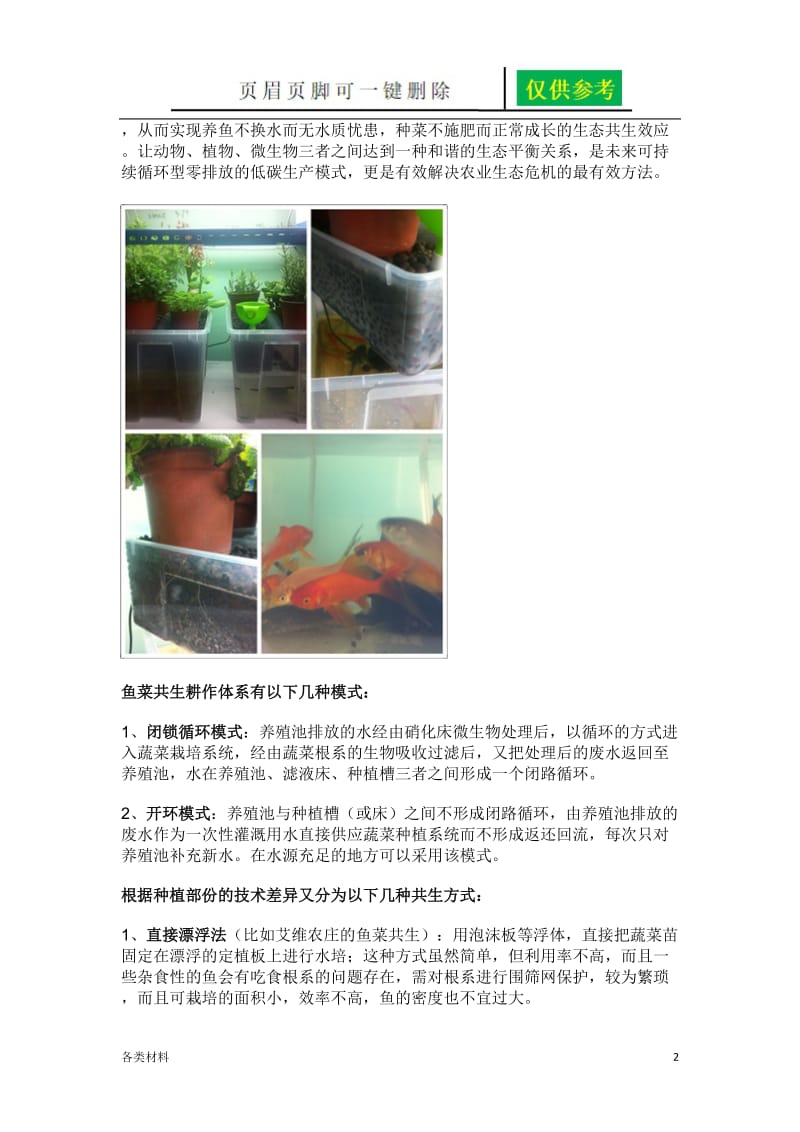 迷你鱼菜共生系统制作[务实运用].doc_第2页