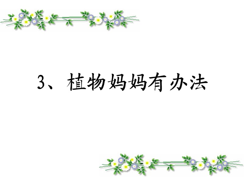 3、《植物妈妈有办法》第二课时.ppt_第1页