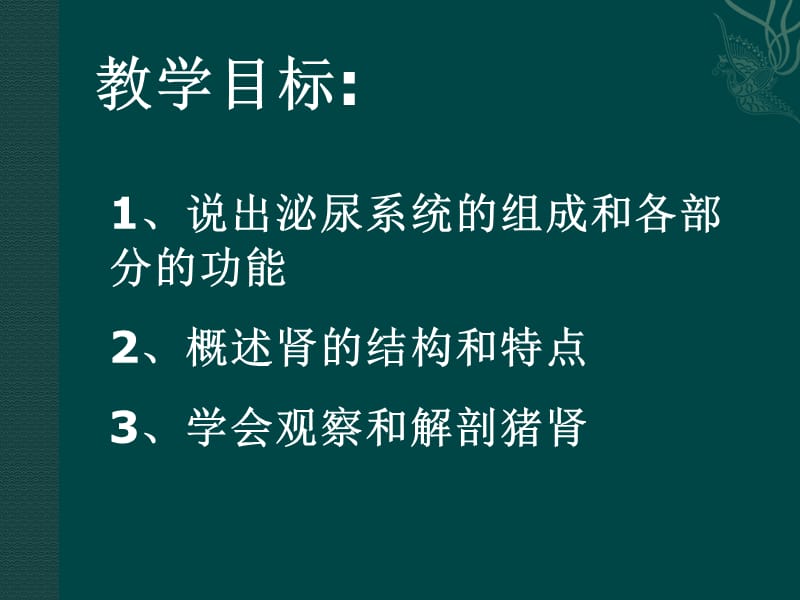 生物：苏教版七年级下-111-人体泌尿系统的组成(课件).ppt_第2页