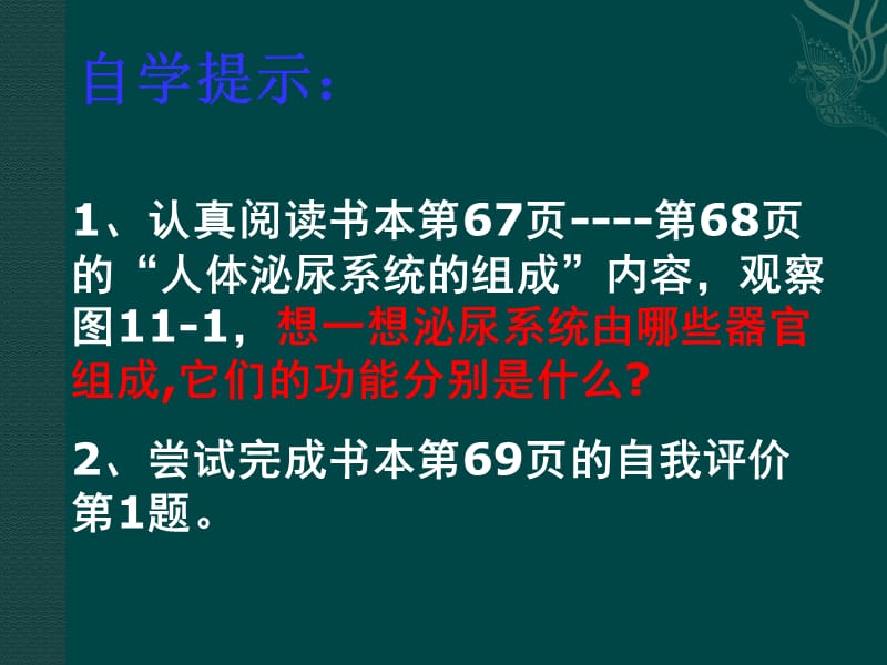 生物：苏教版七年级下-111-人体泌尿系统的组成(课件).ppt_第3页