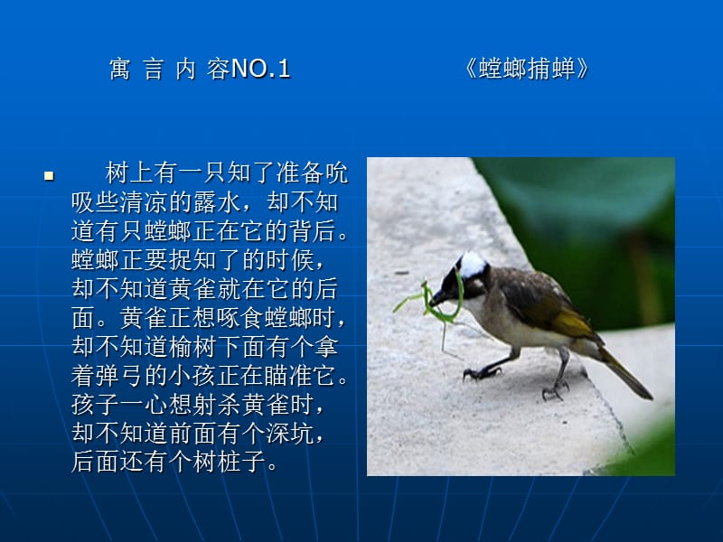 《安全寓言故事》课件.ppt_第1页