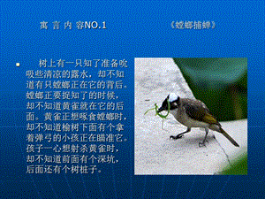 《安全寓言故事》课件.ppt