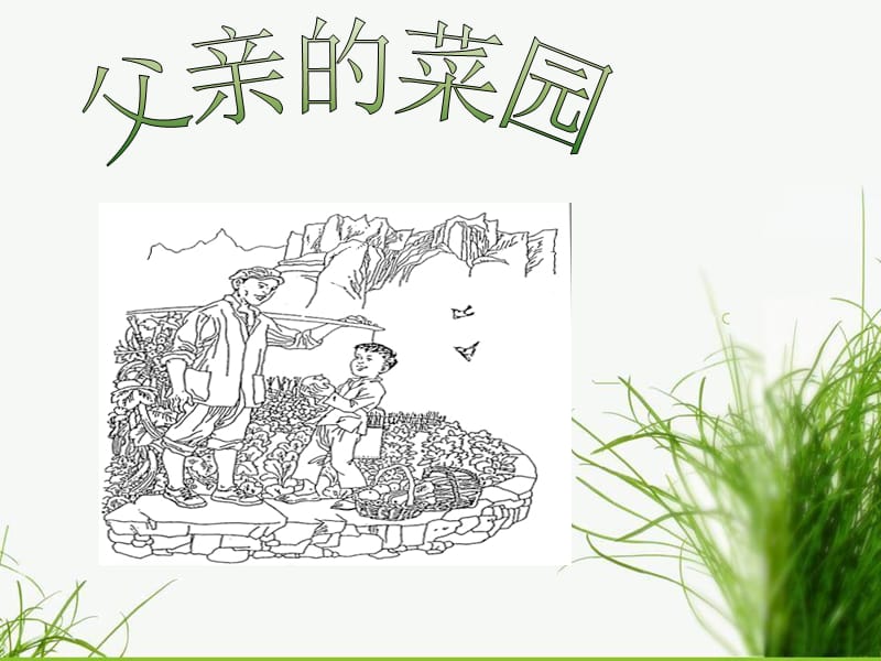 《父亲的菜园》课件2.ppt_第1页