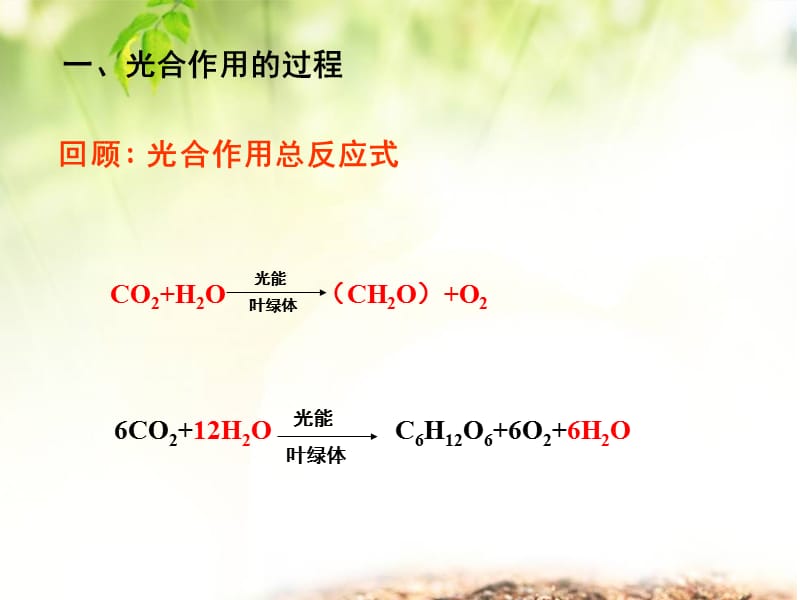 光合呼吸过程及联系PPT课件.ppt_第2页