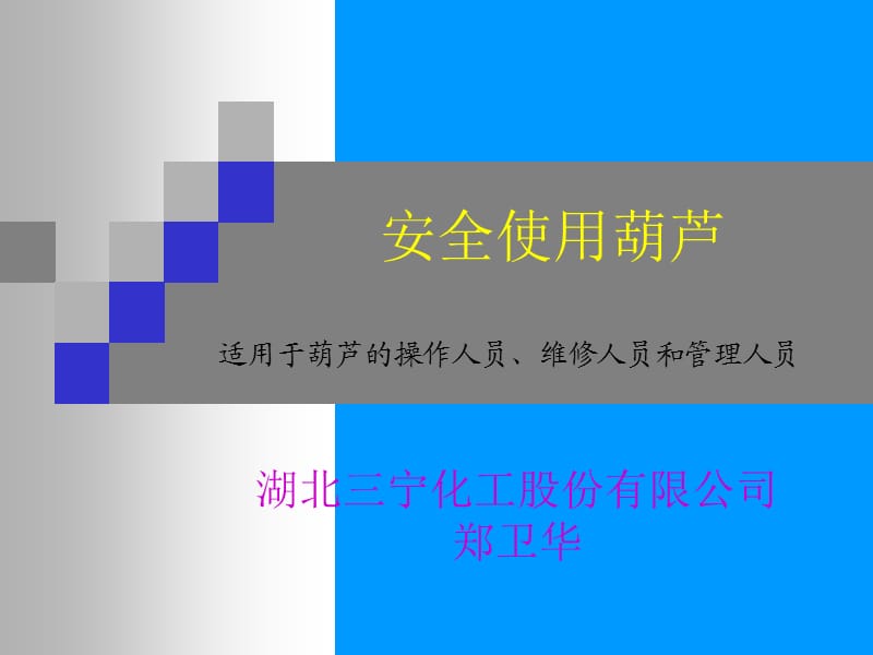 《安全使用葫芦》PPT课件.ppt_第1页