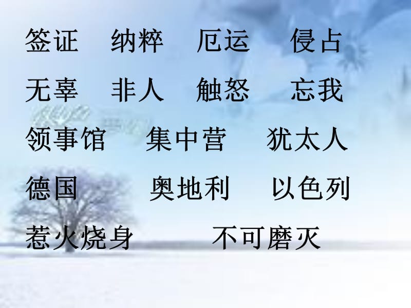 28_生命的签证.ppt_第2页