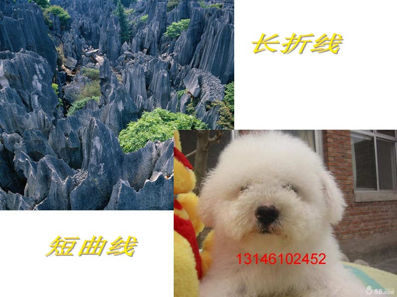 摸一摸画一画.ppt_第3页