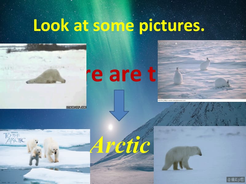 五下Unit 2 life in the Arctic.ppt_第1页