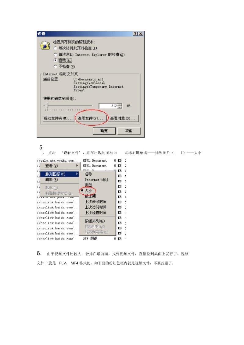 下载网上视频.docx_第2页