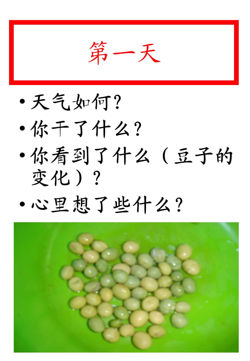 豆芽日记课件.ppt_第3页