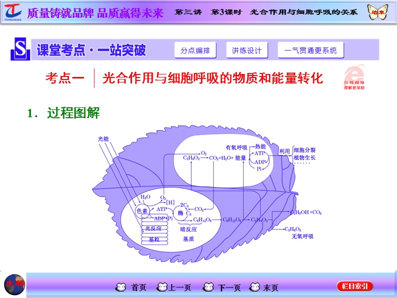 第三讲第3课时光合作用与细胞呼吸的关系.ppt_第2页