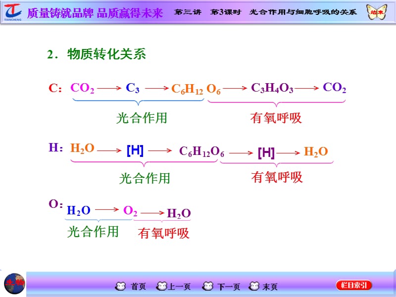 第三讲第3课时光合作用与细胞呼吸的关系.ppt_第3页