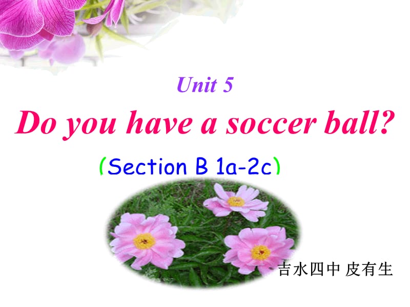 Unit5Doyouhaveasoccerball_SectionB1.ppt_第1页