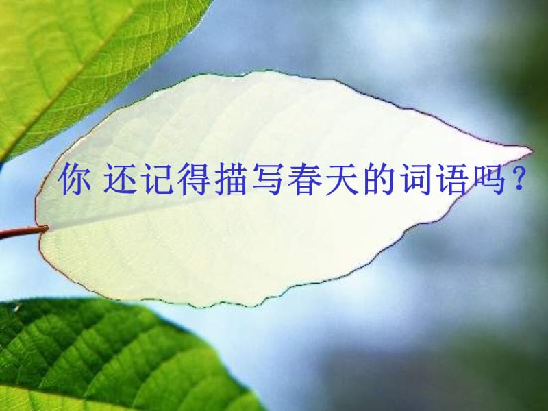 春雨的色彩(丁).ppt_第2页