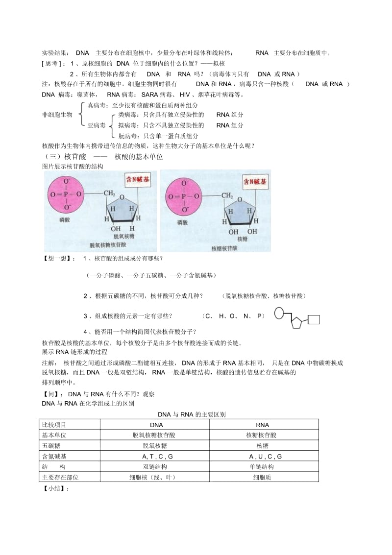 2.3遗传信息的携带者—核酸教案.docx_第2页