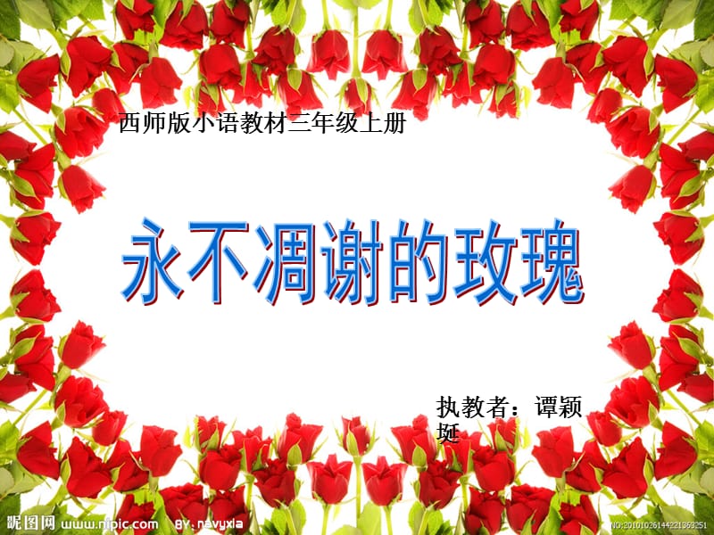 永不凋谢的玫瑰教学设计.ppt_第1页