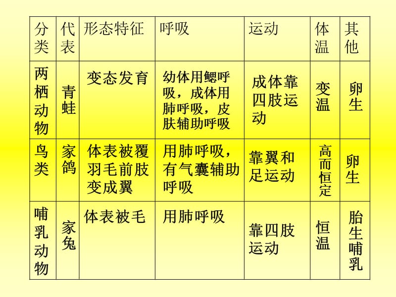 八年级生物人教版上册第一章总结.ppt_第2页