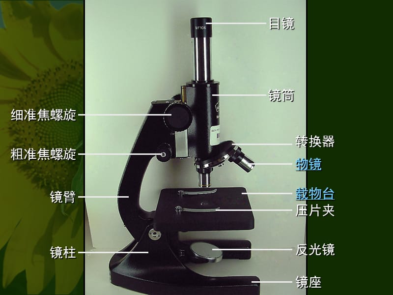 显微镜的结构课件2.ppt_第2页