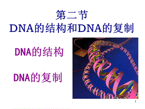 DNA分子的结构优秀课件.ppt