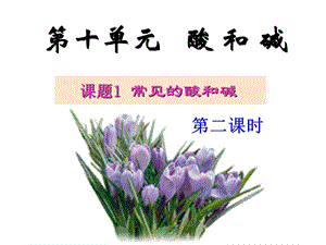 课题1酸和碱（第二课时）.ppt