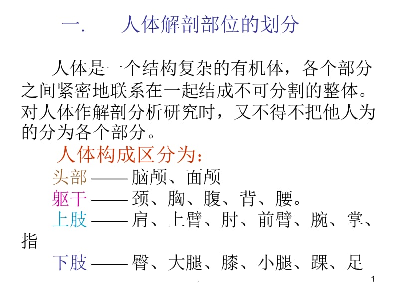 艺用解剖PPT文档资料.ppt_第1页