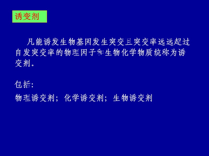 诱变剂教学课件.ppt_第2页