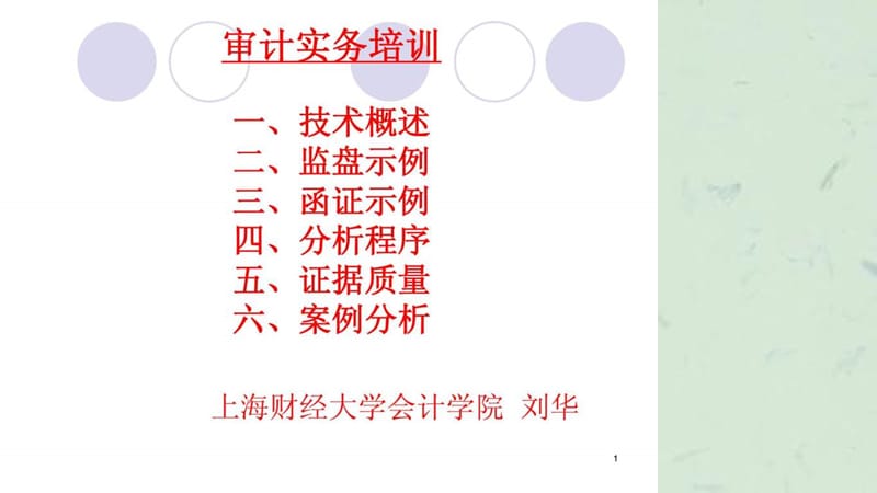 《审计实务培训》课件.ppt_第1页