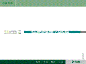 上海市松江新桥新南路产品定位报告.ppt
