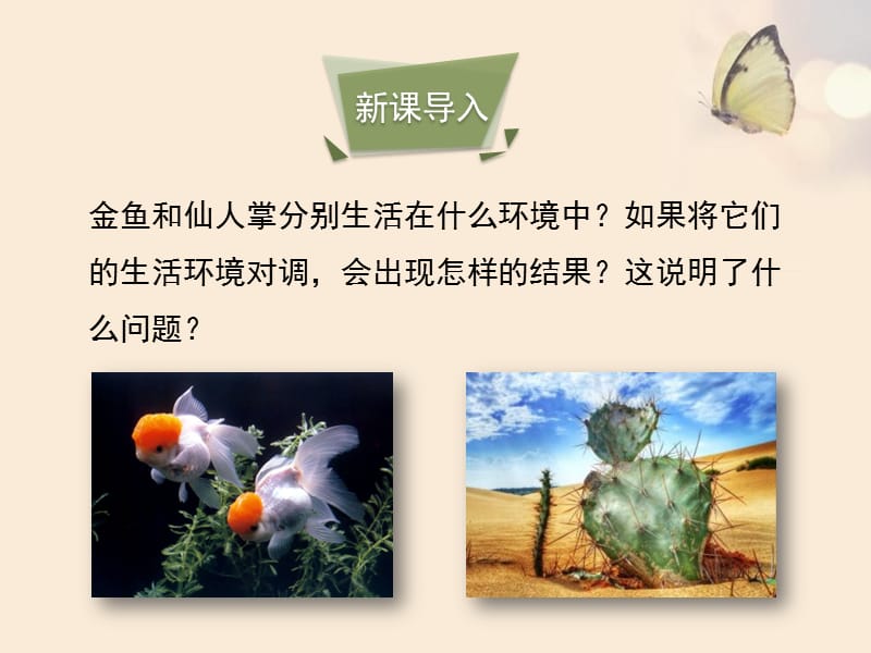 2018北师大版生物八年级下册23.1《生物的生存依赖一定的环境》ppt课件.pptx_第3页