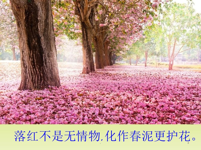 诗歌鉴赏之景物描写PPT精品文档.ppt_第3页