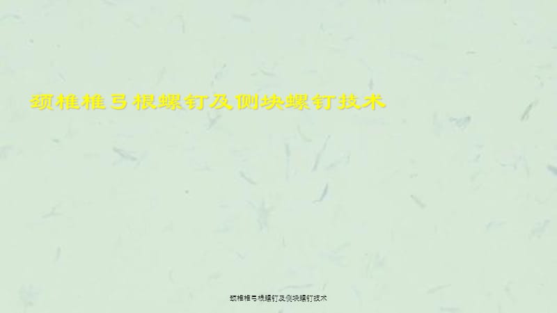 颈椎椎弓根螺钉及侧块螺钉技术课件.ppt_第1页