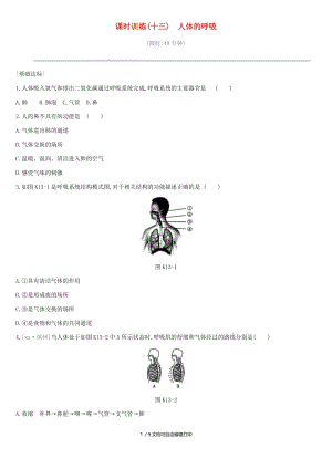 2019年中考生物 专题复习四 生物圈中的人 课时训练13 人体的呼吸 新人教版.doc