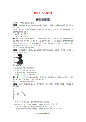 2019年中考生物总复习 主题四 生物圈中的人 课时9 人体的呼吸.doc