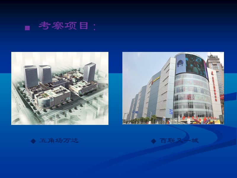 上海商业考察市调报告.ppt_第2页