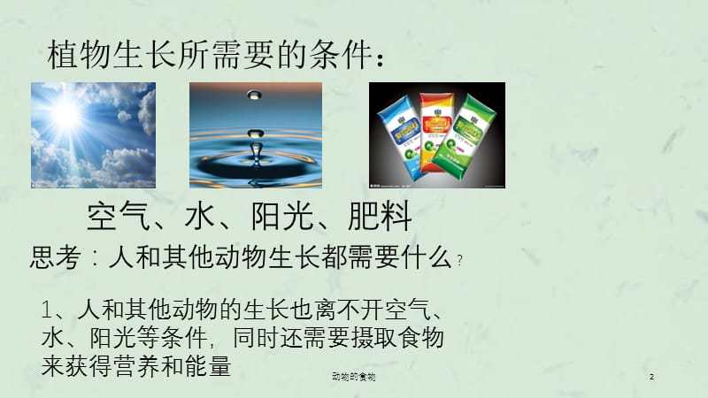 动物的食物课件.ppt_第2页