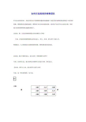 如何打造高效的销售团队.doc