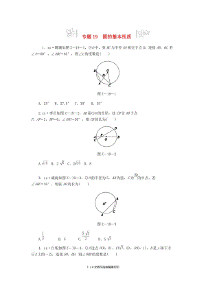 2019年中考数学专题复习小练习 专题19 圆的基本性质.doc