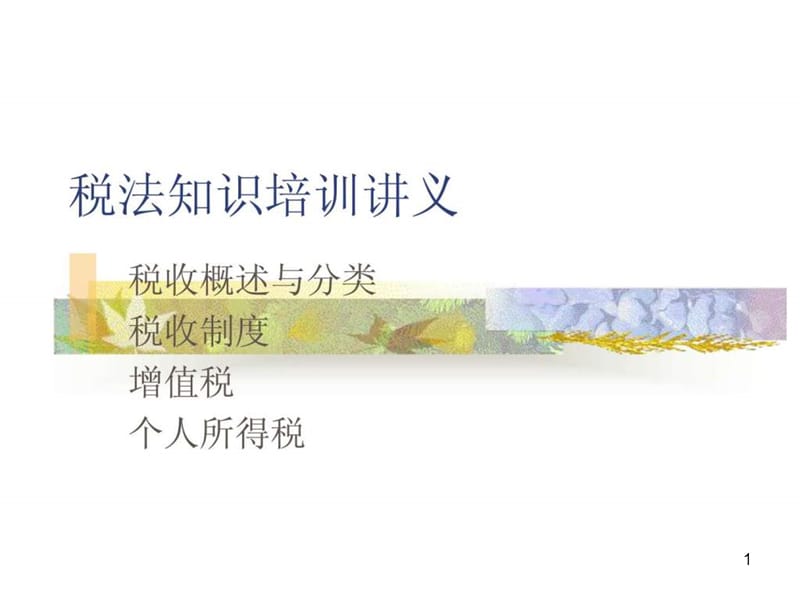 《税法培训讲义》课件.ppt_第1页