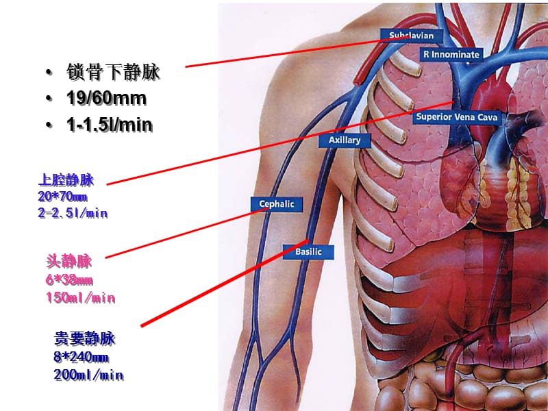 非计划性拔管事件原因分析及预防.ppt_第3页