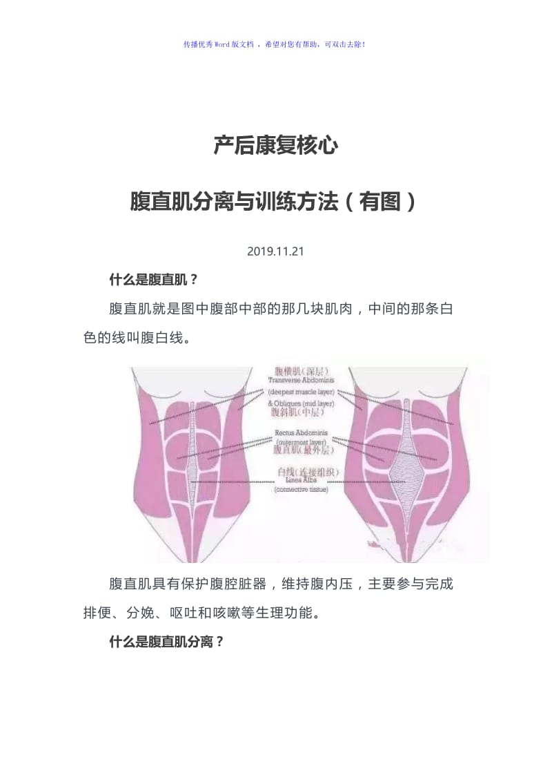 产后康复核心-腹直肌分离与训练方法(有图)Word版.doc_第1页