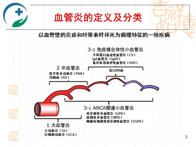 血管炎肾损害的诊断和治疗课件.ppt_第3页