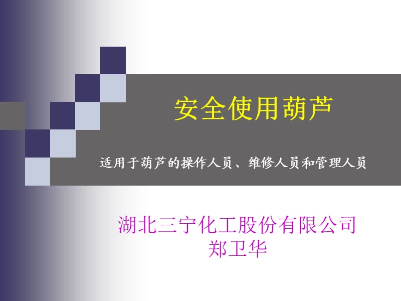 《安全使用葫芦》课件.ppt_第1页