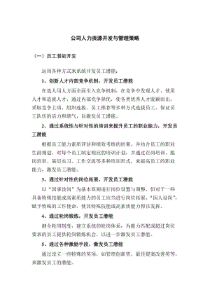 公司人力资源开发与管理策略.doc