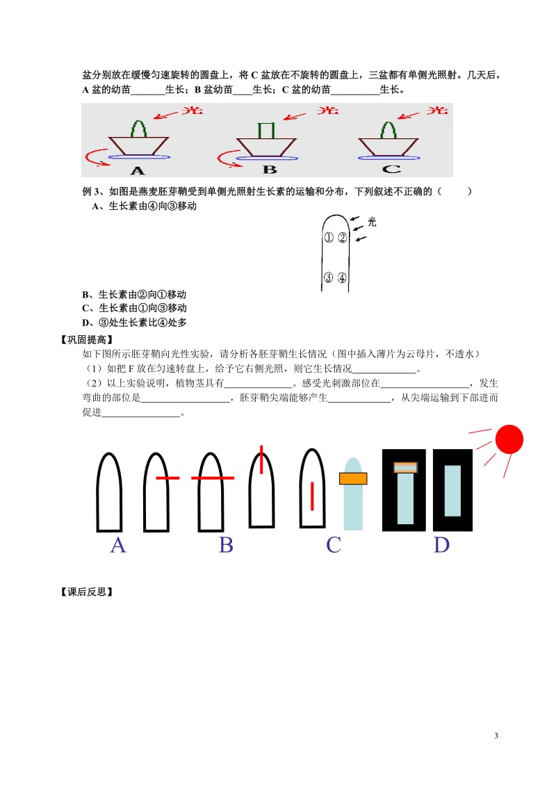 植物激素调节学案.doc_第3页